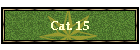 Cat. 15